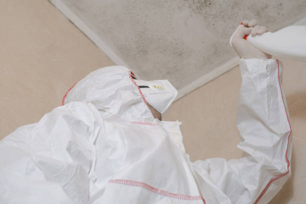 Best Toxic Mold Removal  in Girard, KS