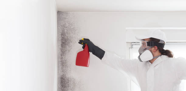 Crawl Space Mold Removal in Girard, KS
