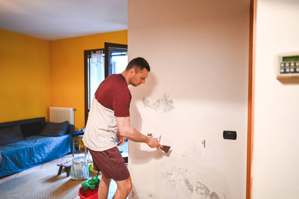 Best Mold Removal Near Me  in Girard, KS